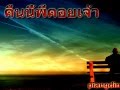 Cover-คืนนี้พี่คอยเจ้า piangdin