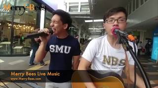 Merry Bees Live Music - The Unemployed performing 'Dive' by Ed Sheeran