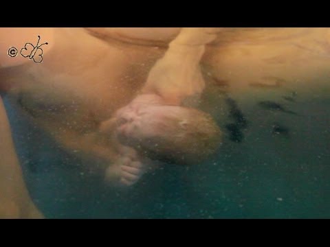 Замершая беременность (неразвивающаяся симптомы, причины, последствия) Девять основных принципов на девять месяцев здорового питания