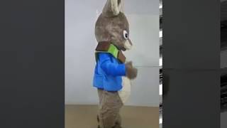 adult fancy peter rabbit mascot costume cartoon mascots funny costumes for birthday party