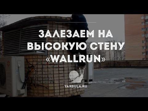 Пылевые клещи на коже человека Пылевые клещи на коже человека
