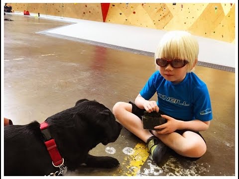 Adaptive Climbing Group: Diversity and Inclusion