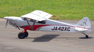 Cubcrafters Cc19-180 Xcub Light Plane Landing & Short Takeoff Kohnan Aerodrome, Japan In May 2019