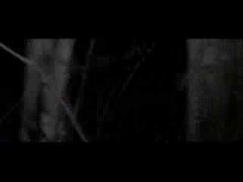 Run Home Video