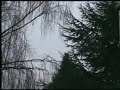'Nirvana' A poem by Charles Bukowski, read by Tom Waits