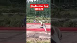 Detik-Detik Merpati Nabrak Jongki