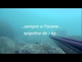 Spigole a Focene...Pescasub Roma