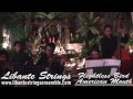 Flightless Bird, American Mouth (Iron and Wine) cover by Libante Strings