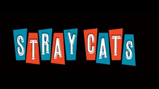 Watch Stray Cats Devil Train video