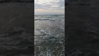 Deniz Menzeresi Canli