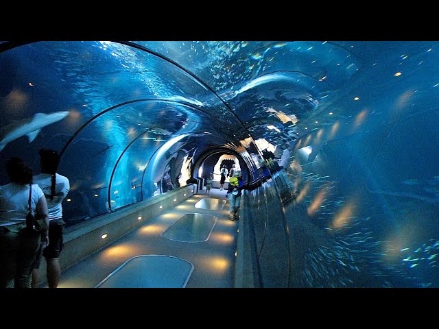 Отдых в Турции, Анталия аквариум