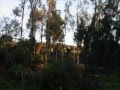 video medio ambiente