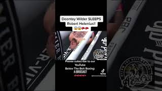 Deontay Wilder Knocks Out Robert Helenius