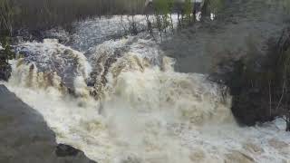 Kawishiwi Falls, Ely, Mn 5.22.22
