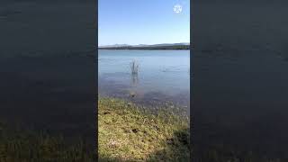 Fishing At Albasini Dam