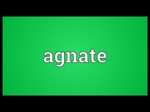 Header of agnate