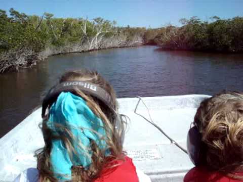 Everglades Air Boat ride the