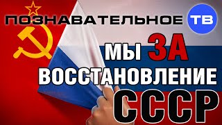 Мы за восстановление СССР (Познавательное ТВ, Антон Романов)