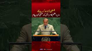 Pm Shahbaz Sharifs Issues Bold Warning To Israel Palestine Will Be Free