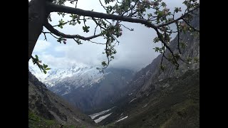 Hakkari Dağlıcacolemerg Oremar...