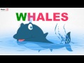 Mammals - Pre School - Learn English Words (Spelling) Video For Kids and Toddlers