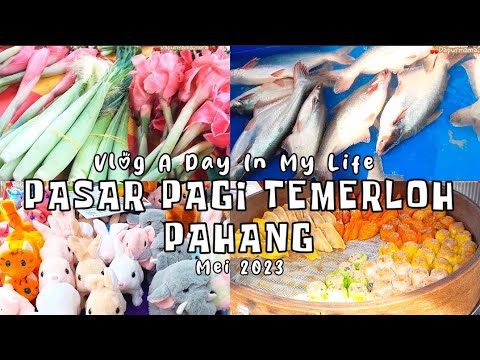 Pasar Sehari Temerloh 🇲🇾 || Pasar Pagi Ahad Terpanjang Di Malaysia || Negeri Patin #vlogmalaysia