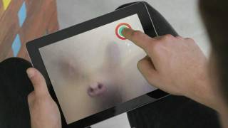 Playing With Pigs Pig Chase.wmv