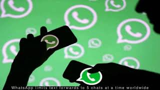 Latest Technology News - WhatsApp limits text forwards to 5 chats at a time worldwide