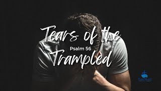 Tears of the Trampled