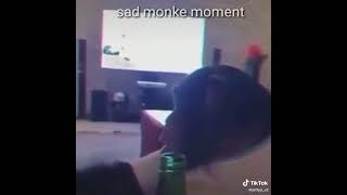 Sad Monke Moment