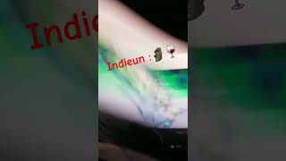 Indieun Wth