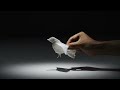tissue