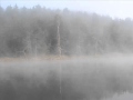 Liadov The Enchanted Lake Op.62 - Svetlanov