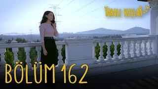 Yaralı Kuşlar 162. Bölüm