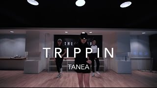 Watch Tanea Trippin video