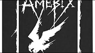 Watch Amebix University Challenged video