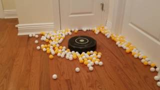 Roomba Vs Ping Pong Balls