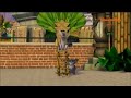 zootube