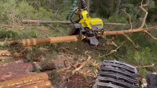 4K | Forestry Works With John Deere Machines! Harvester 1270G