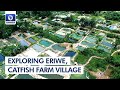 A Trip Into Eriwe, A Massive Catfish Farm Village | Community Report