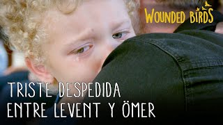 Triste Despedida Entre Levent Y Ömer Wounded Birds Yaralı Kuşlar Capítulo 103