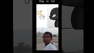 When You Collapse,Your Pet. Cat Vs Dog Video. Gigachad Cat