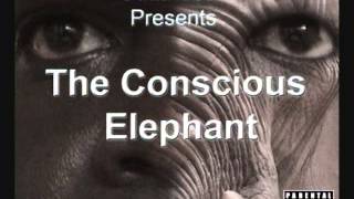 The Consciuos Elephant Mix Vol 1Strangers Memories