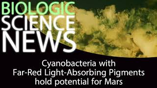 Science News - Cyanobacteria with Far-Red Light-Absorbing Pigments hold potential for Mars