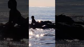 Mysterious Mermaid Dives Off The Rocks