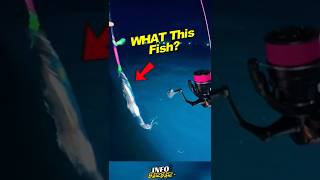 He Thought It Was Just A Fishstrange Fish Pulled From The Depths
