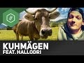 verdauung kurz erklärt