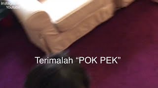 Dayyan recording lagu baru dengan daddy ..