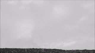 Rota - Tanrının Deneme Tahtası Official Lyric Video