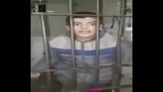You Think These Bars Can Keep Me In Here? No Way Home Voice Lizard Aaaaaaa
